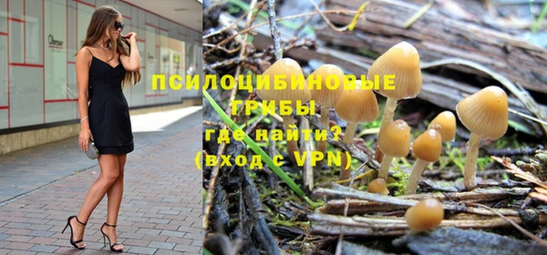 амф Абинск