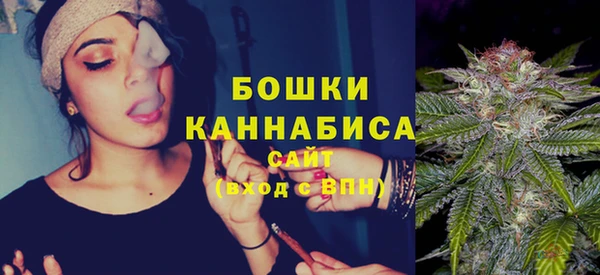 тгк Горнозаводск